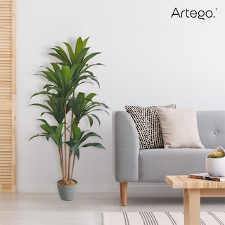 Foto 7 | Planta Artificial Moderna Con Maceta Decorativa Real Style Congo Dracaena Palo De Brasil Grande De 150cm De Alto Artego