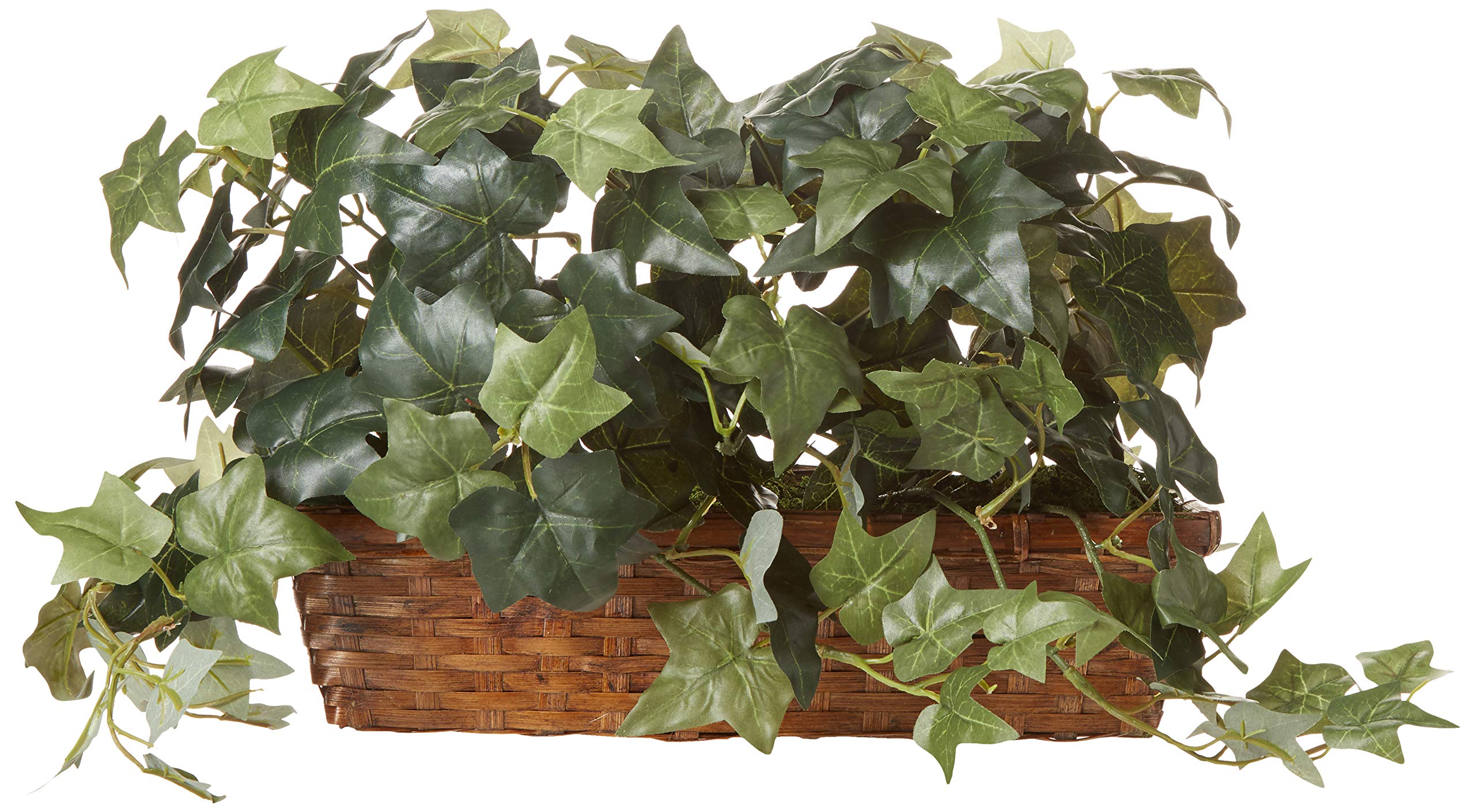Planta De Seda, Hiedra Con Cesta Con Repisa 32cm - Venta Internacional
