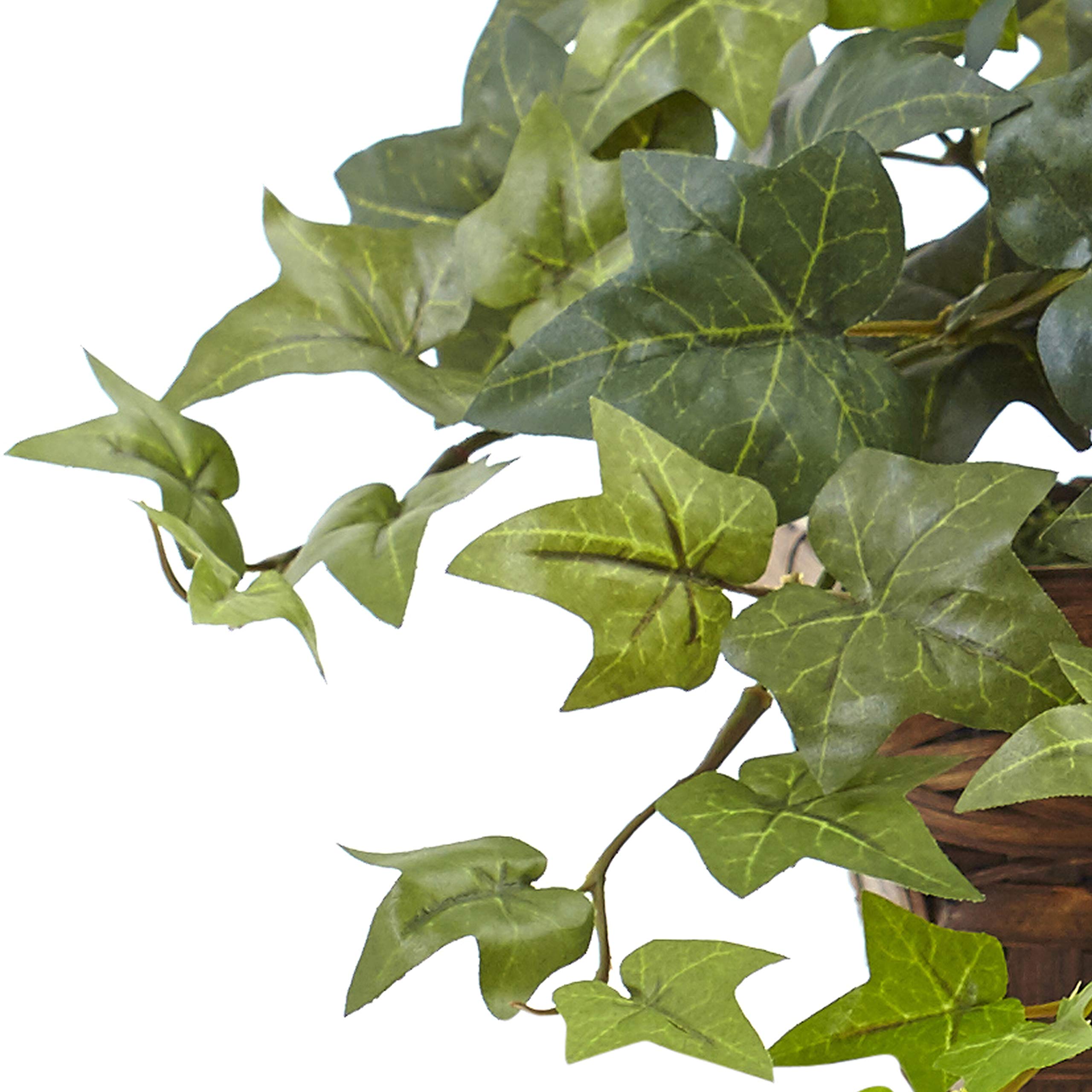 Foto 3 pulgar | Planta De Seda, Hiedra Con Cesta Con Repisa 32cm - Venta Internacional