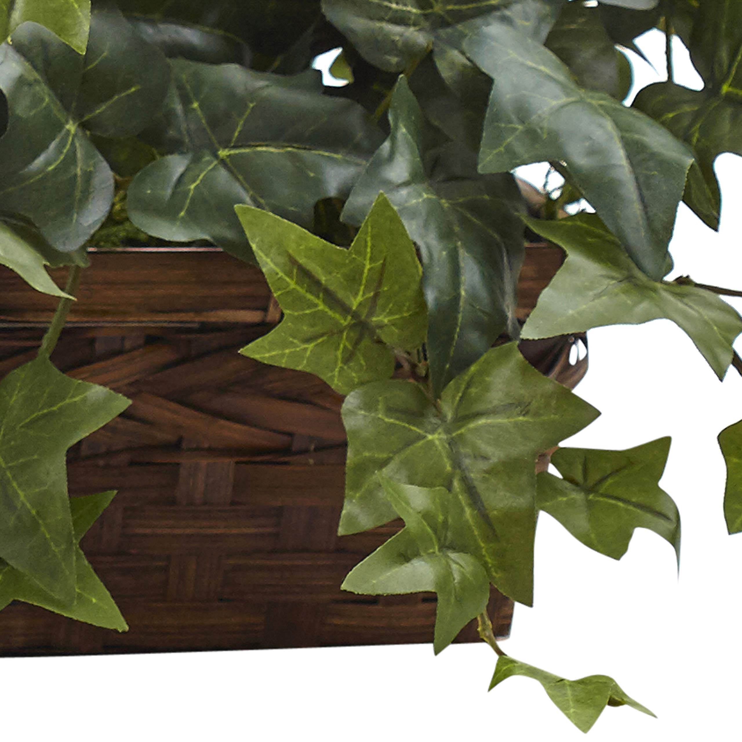 Foto 4 pulgar | Planta De Seda, Hiedra Con Cesta Con Repisa 32cm - Venta Internacional