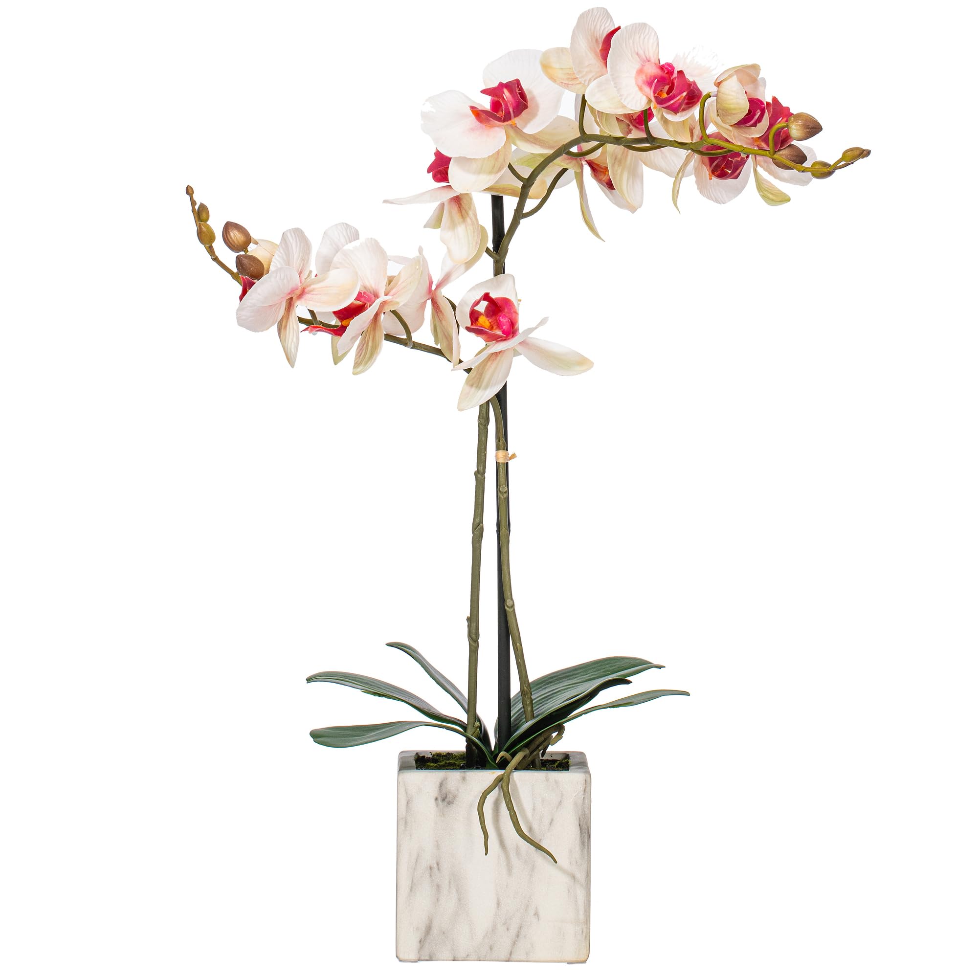 Foto 2 pulgar | Flor Artificial Vickerman Everyday 22 Phalaenopsis - Venta Internacional
