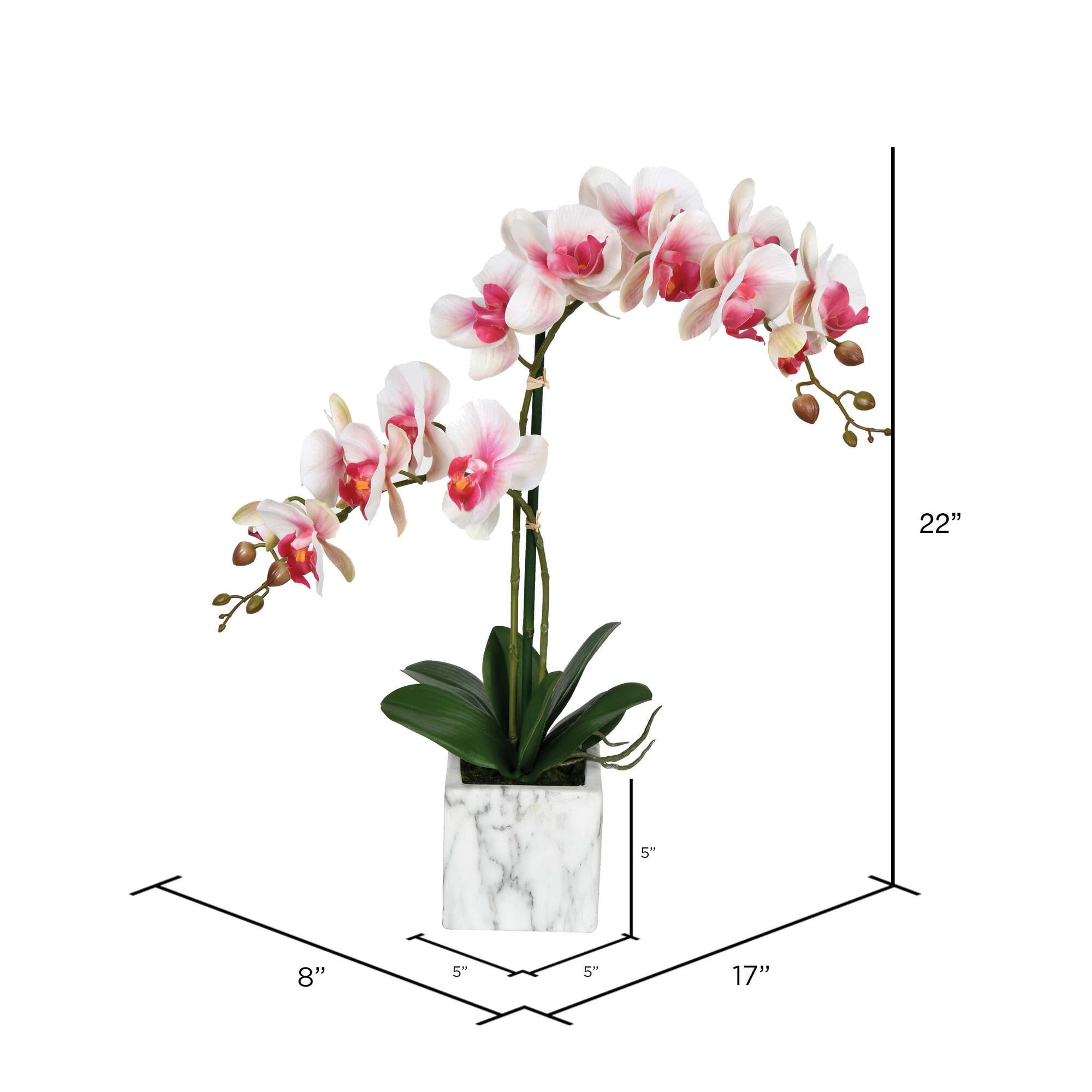 Foto 3 pulgar | Flor Artificial Vickerman Everyday 22 Phalaenopsis - Venta Internacional