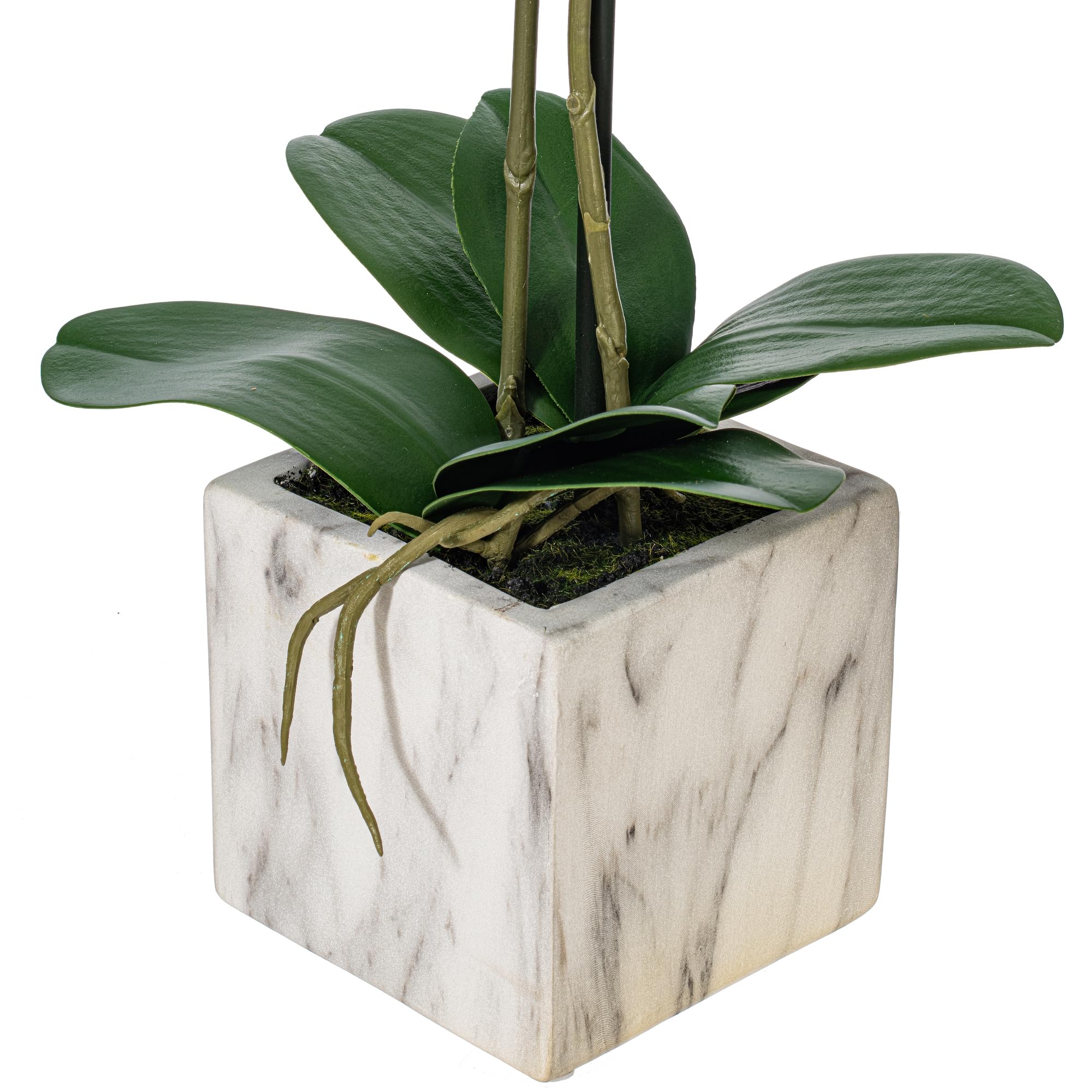 Foto 5 pulgar | Flor Artificial Vickerman Everyday 22 Phalaenopsis - Venta Internacional