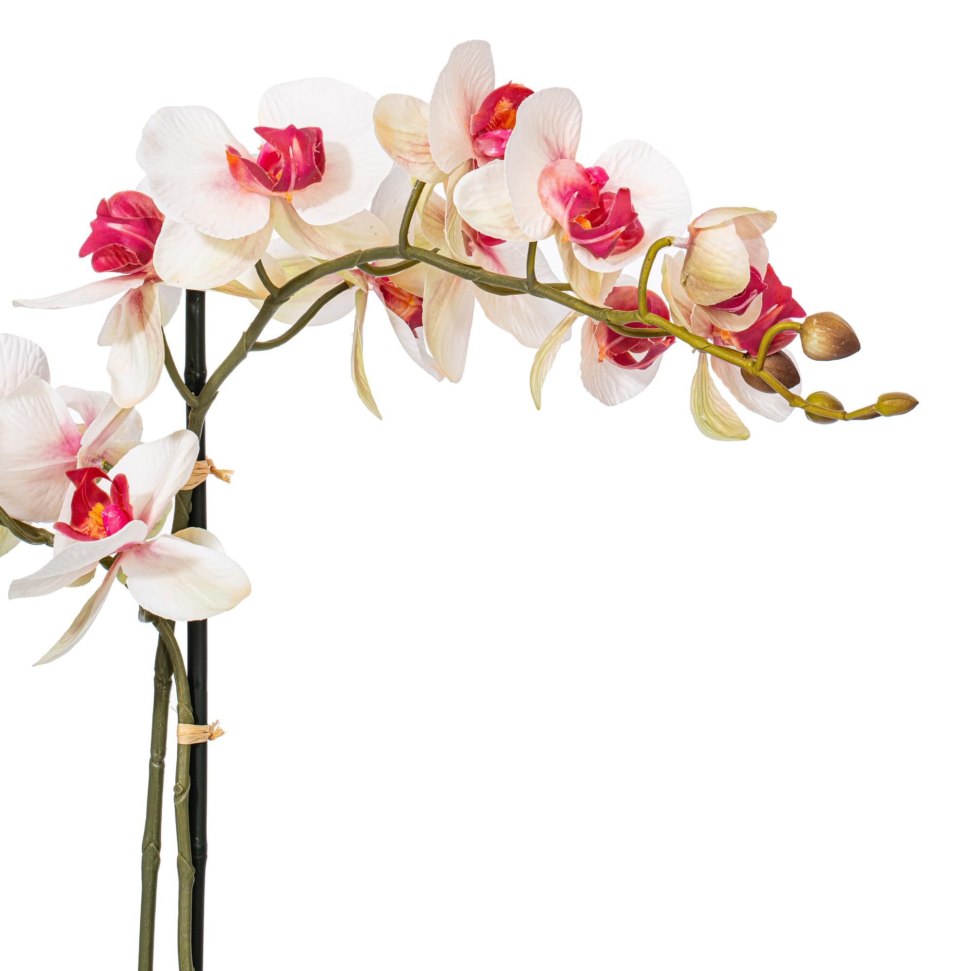 Foto 6 pulgar | Flor Artificial Vickerman Everyday 22 Phalaenopsis - Venta Internacional