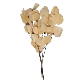 Foto 1 | Hojas de Moneta Secas y Blanqueadas Vickerman - Venta Internacional