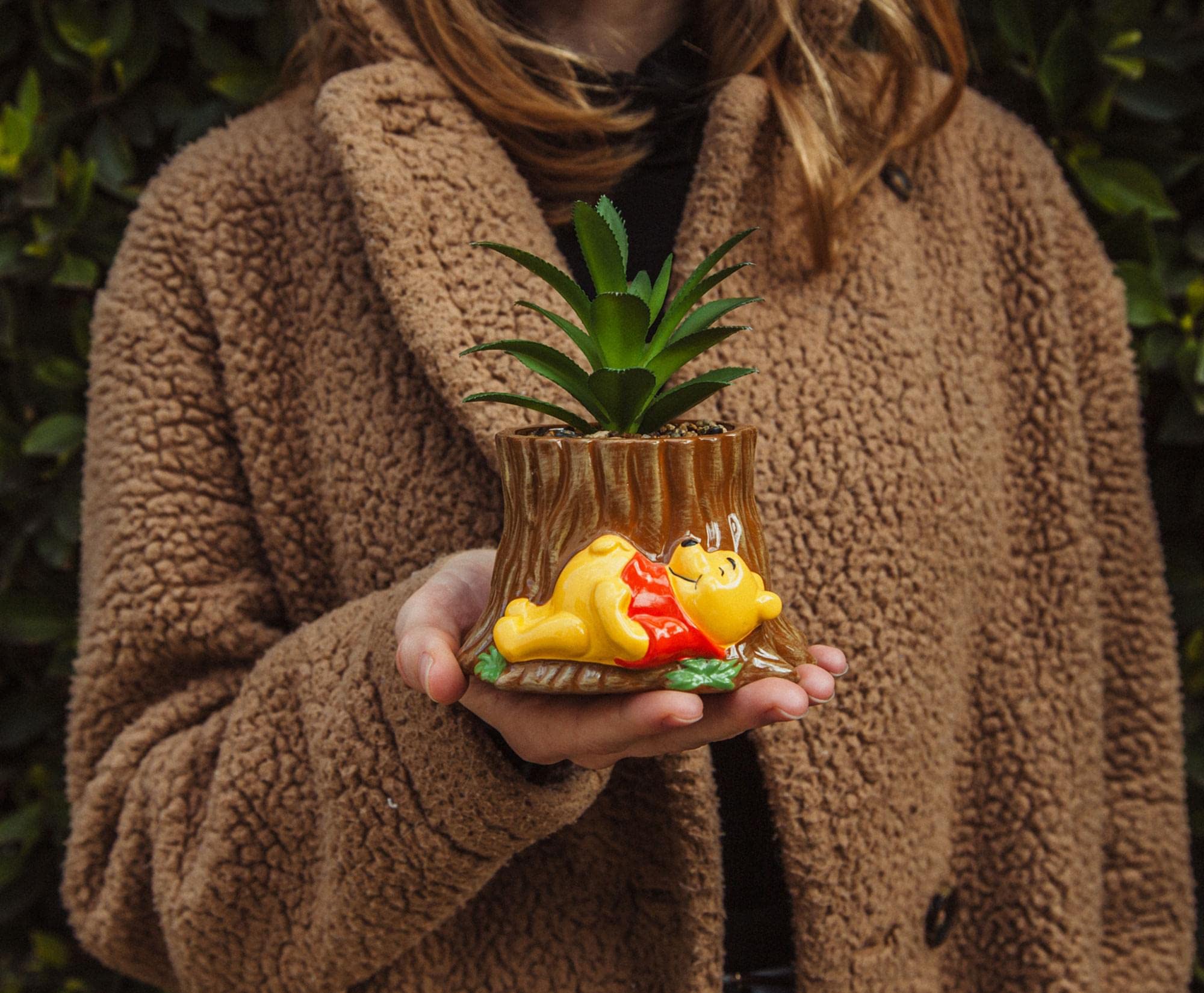 Foto 5 | Maceta De Cerámica Con Tocón De Árbol De Winnie The Pooh Con Suculentas De 5 Pulgadas - Venta Internacional.