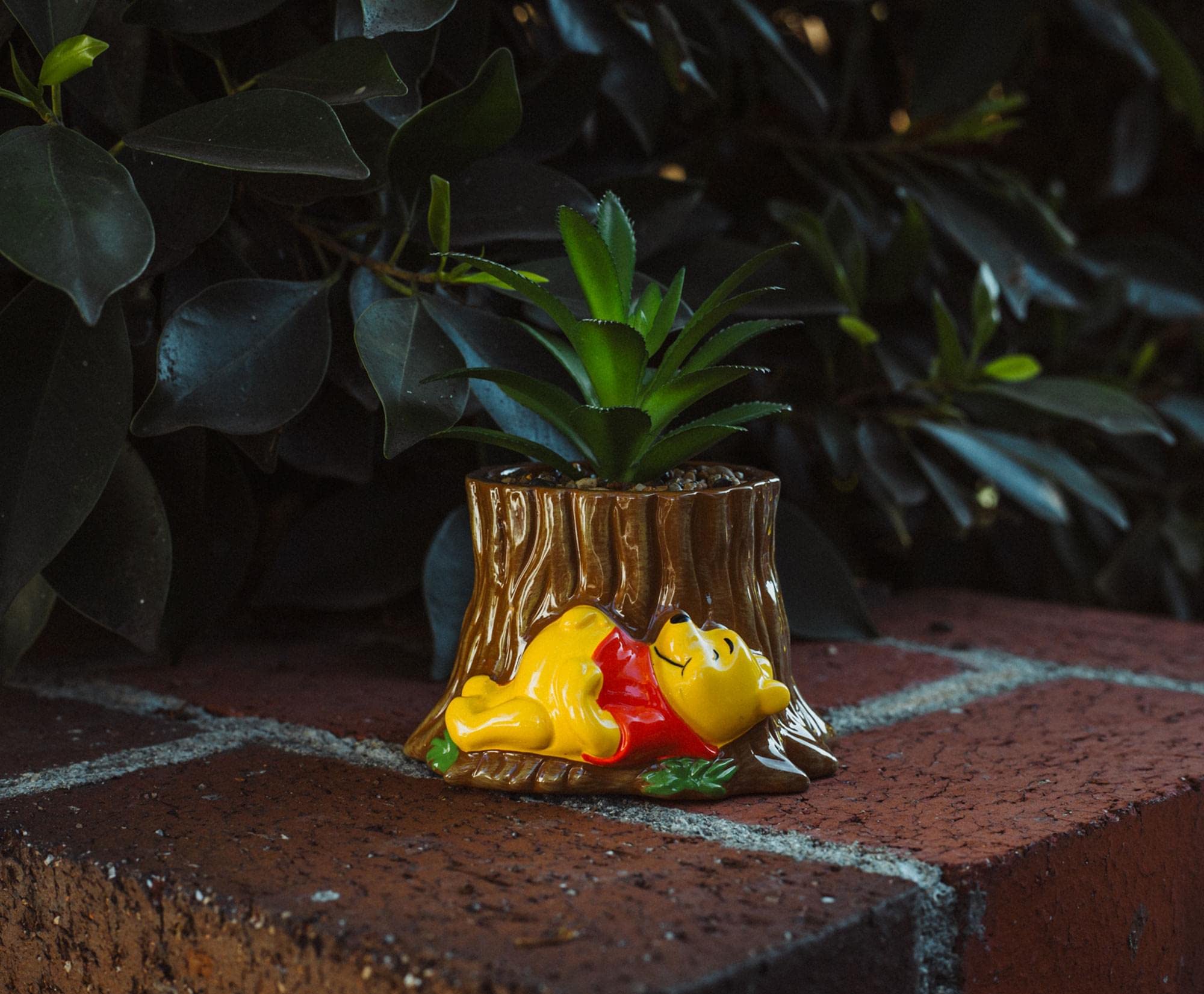 Foto 7 | Maceta De Cerámica Con Tocón De Árbol De Winnie The Pooh Con Suculentas De 5 Pulgadas - Venta Internacional.