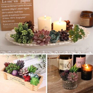 Foto 3 | Plantas Suculentas Artificiales Cewor 14 Unidades Sin Maceta Realistas - Venta Internacional.