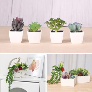 Foto 5 | Plantas Suculentas Artificiales Cewor 14 Unidades Sin Maceta Realistas - Venta Internacional.