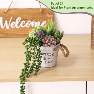 Foto 6 | Plantas Suculentas Artificiales Cewor 14 Unidades Sin Maceta Realistas - Venta Internacional.
