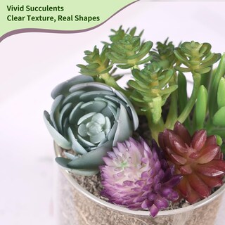 Foto 7 | Plantas Suculentas Artificiales Cewor 14 Unidades Sin Maceta Realistas - Venta Internacional.