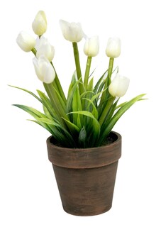 Foto 1 | Tulipán en Maceta de Papel Maché Jauz Minimalista 20 cm