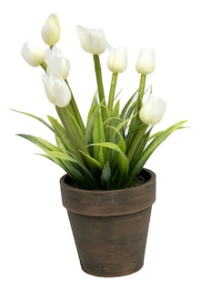 Foto 6 | Tulipán en Maceta de Papel Maché Jauz Minimalista 20 cm