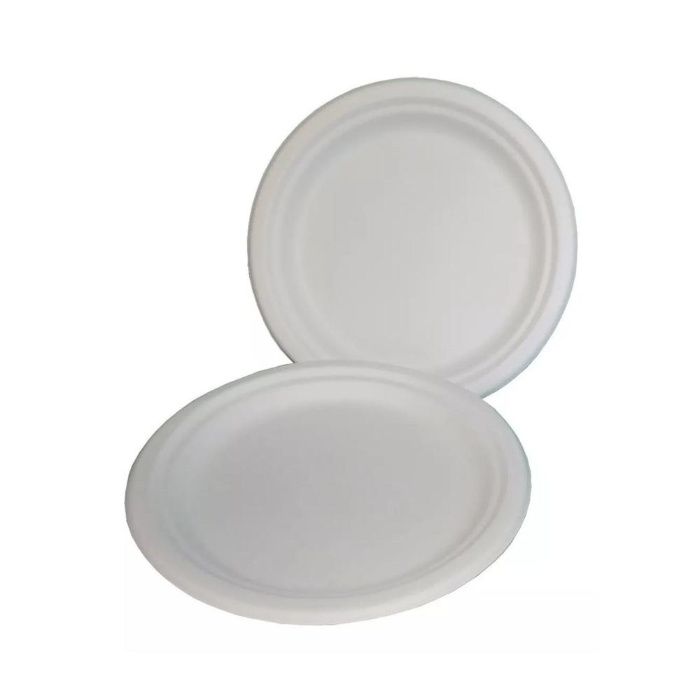 Plato Liso #10 De Bagazo De Caña 500 Unidades Bio Kanogo Green