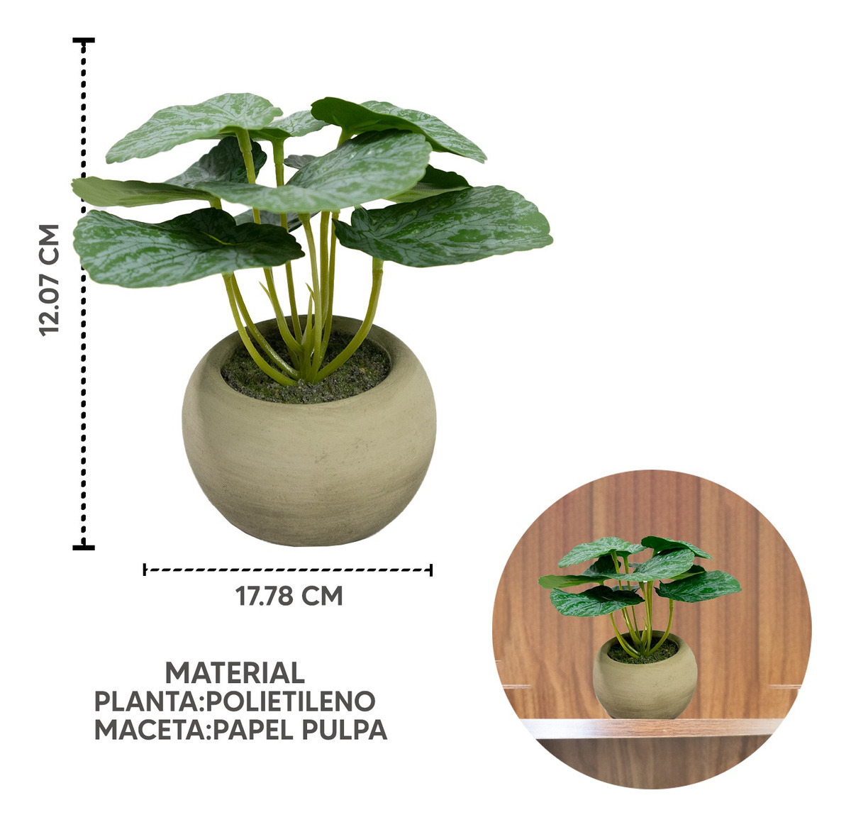 Foto 3 pulgar | Planta con Maceta Jauz de Papel Maché