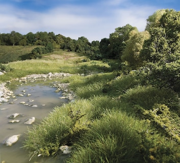 Foto 7 | Follaje En Matas, Bosques, Paisajes Verdes - Venta Internacional.