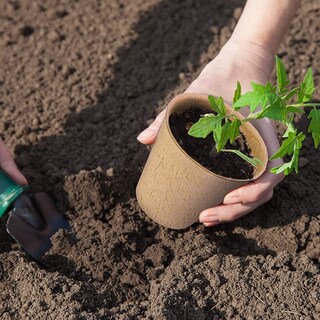 Foto 2 | Macetas Biodegradables, 50 Unidades, Papel De 8 Cm De Ancho Y Papel Reciclado - Venta Internacional.