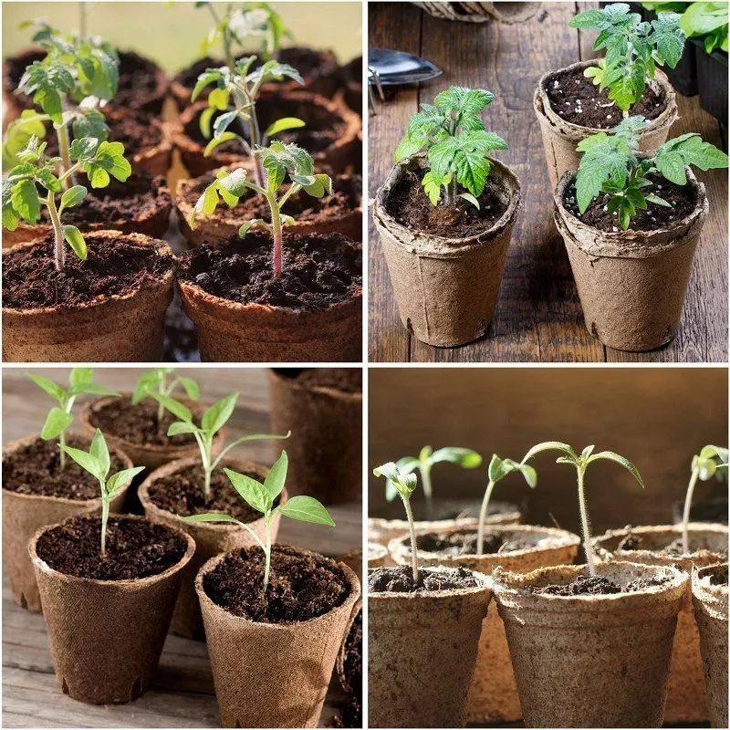 Foto 3 | Macetas Biodegradables, 50 Unidades, Papel De 8 Cm De Ancho Y Papel Reciclado - Venta Internacional.