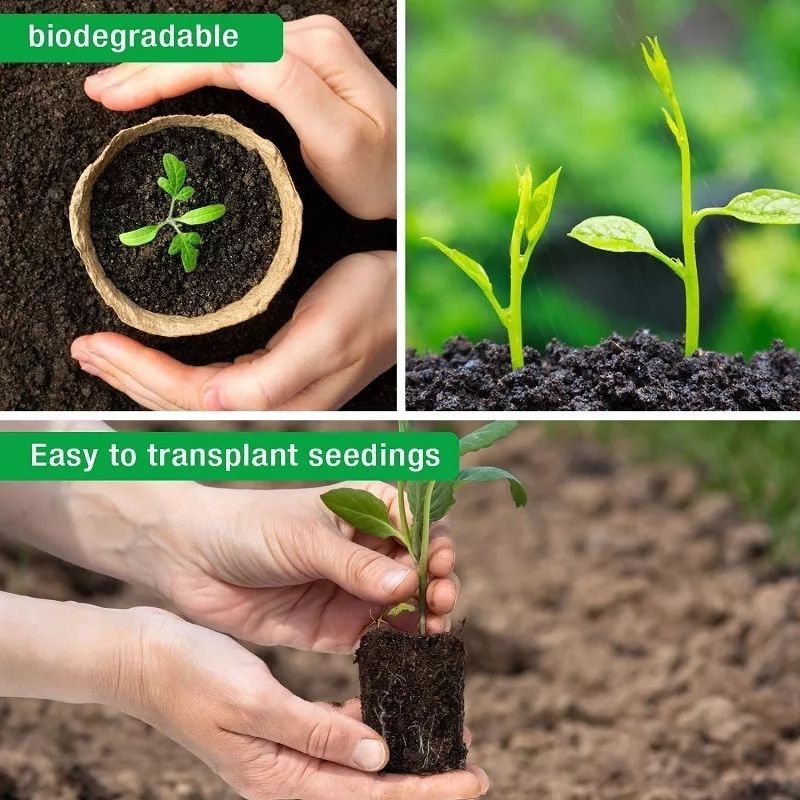 Foto 5 | Macetas Biodegradables, 50 Unidades, Papel De 8 Cm De Ancho Y Papel Reciclado - Venta Internacional.