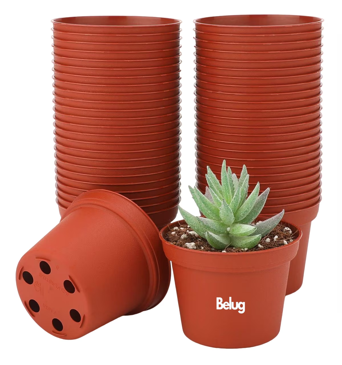 Foto 1 | Macetitas Terracota 100 Macetas Cactus, Marrón Rojizo + Negro