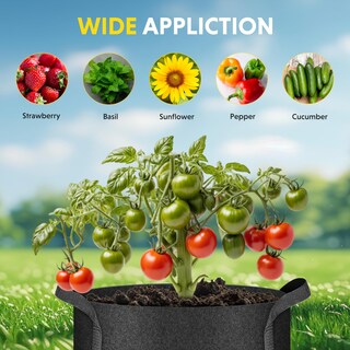 Foto 6 | Macetas De Tela No Tejida Grow Bags Ipower, Paquete De 10 Unidades, 7 Galones, Color Negro - Venta Internacional.