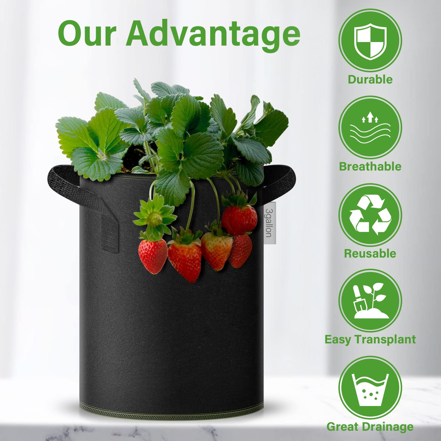Foto 6 | Macetas De Tela No Tejida Grow Bag Ipower De 3 Galones, 10 Unidades, Color Negro - Venta Internacional.
