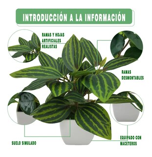 Foto 3 | 4 Macetas Plantas Artificiales Macetas Decorativas Bonsai