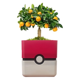 Foto 3 | Maceta 3D Art MXPKY-002 color Rojo 2 Piezas - Pokebola