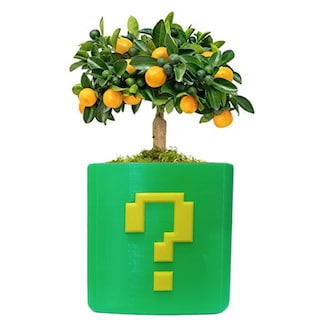 Foto 3 | Maceta Decorativa para Escritorio 3D Art MXJKY-002 color Verde 2 Piezas - Riddler