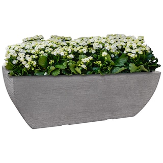 Foto 2 | Maceta Artego para Exteriores Tipo Jardinera 45 cm Gris Stone de Polietileno Ultra Ligera