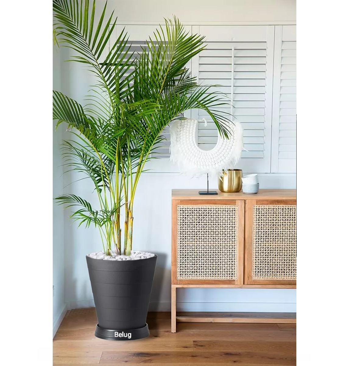 Foto 4 pulgar | 2 Macetas Grande Moderna Minimalista Interior Exterior Plato Negro