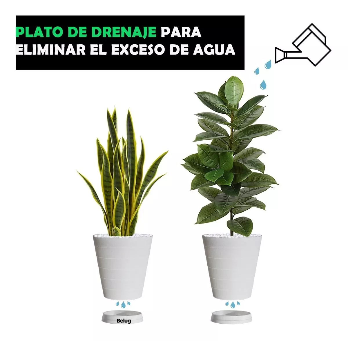 Foto 6 pulgar | 2 Macetas Grande Moderna Minimalista Interior Exterior Plato Blanco