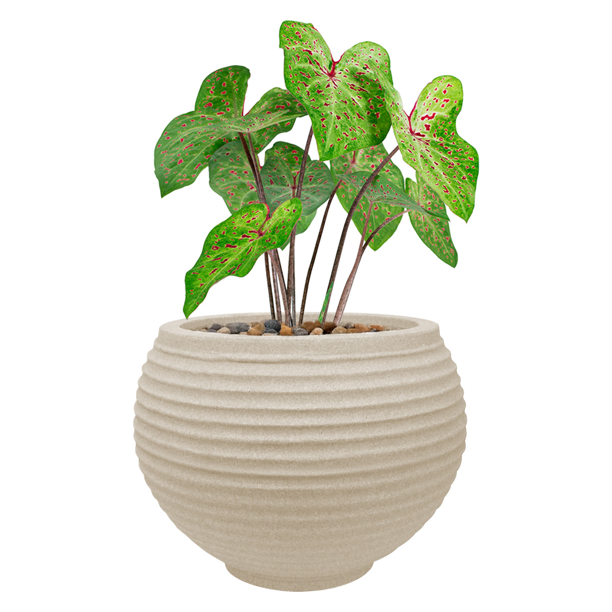 Foto 3 pulgar | Maceta Moderna Para Exteriores 24 Cm De Alto X 34 Cm De Ancho Lattice Color Arena Sandstone De Polietileno Ultra L