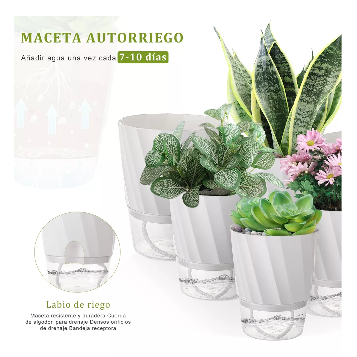 Foto 3 pulgar | Set de Macetas con Riego Automático Eo Safe Imports Esi-18522 Blanco
