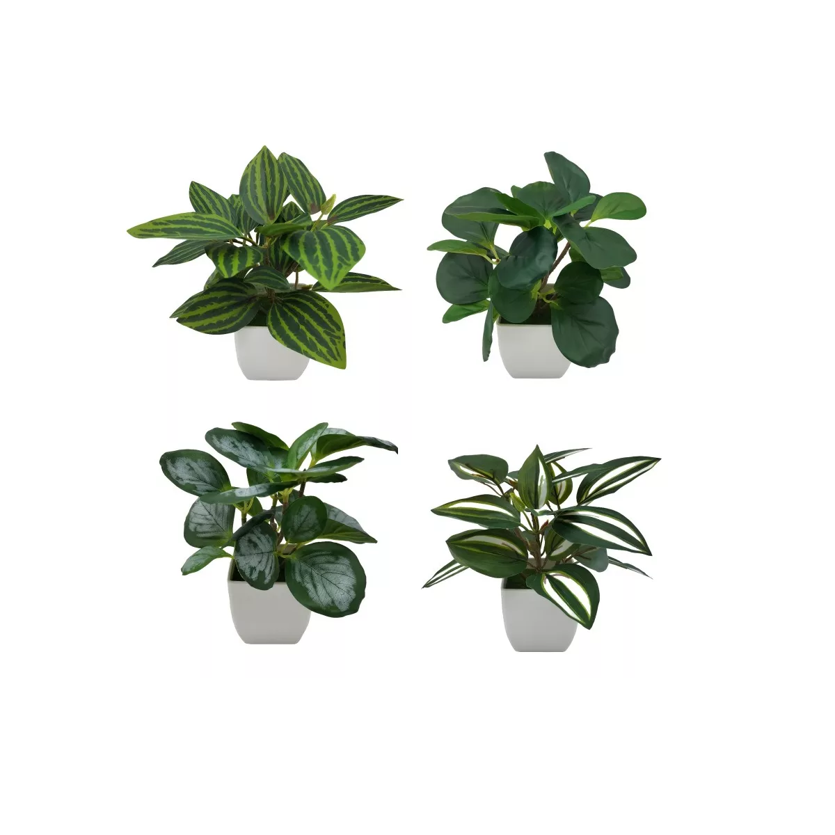 4 Macetas Plantas Artificiales Decorativas Bonsai Eo Safe Imports Esi-18524 Blanco