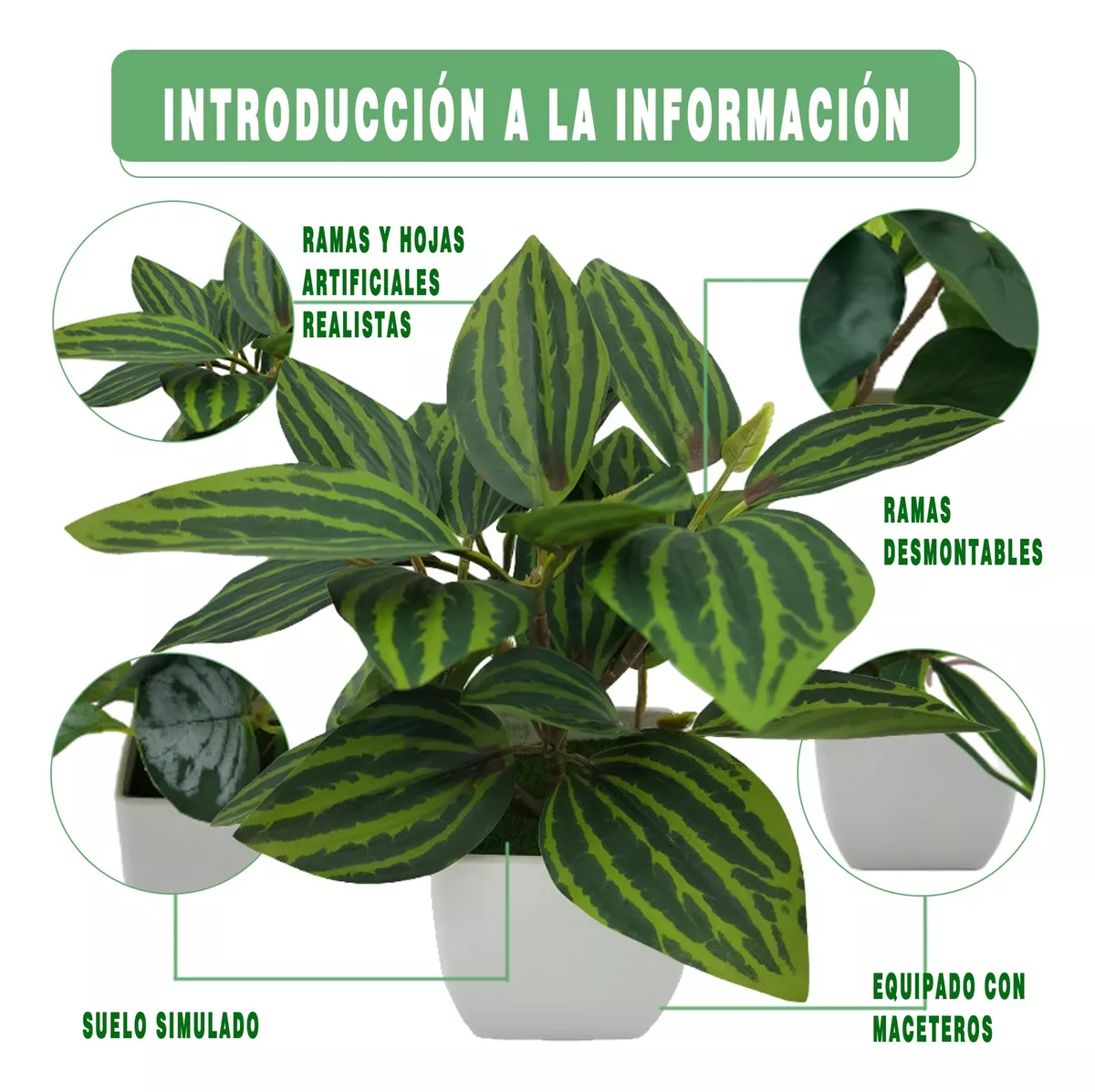 Foto 4 pulgar | 4 Macetas Plantas Artificiales Decorativas Bonsai Eo Safe Imports Esi-18524 Blanco
