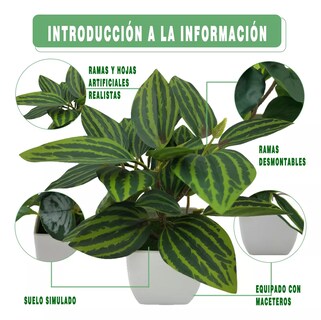 Foto 3 | 4 Macetas Plantas Artificiales Decorativas Bonsai Eo Safe Imports Esi-18524 Blanco