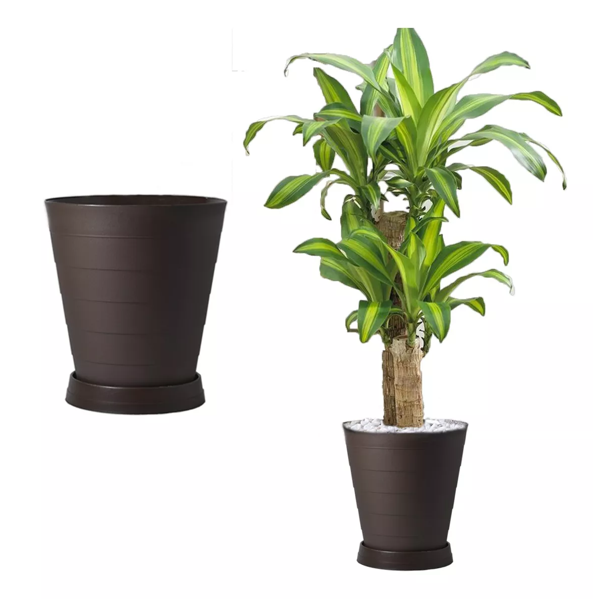 Foto 2 pulgar | 2 Macetas Grande Moderna Minimalista Interior Exterior Plato Eo Safe Imports Esi-18525 Marron