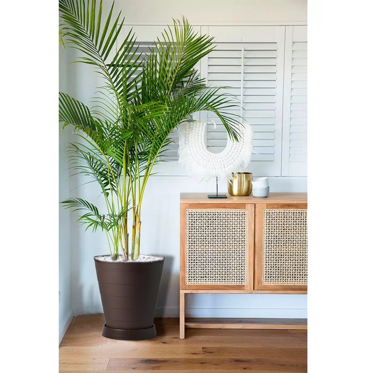 Foto 2 | 2 Macetas Grande Moderna Minimalista Interior Exterior Plato Eo Safe Imports Esi-18525 Marron