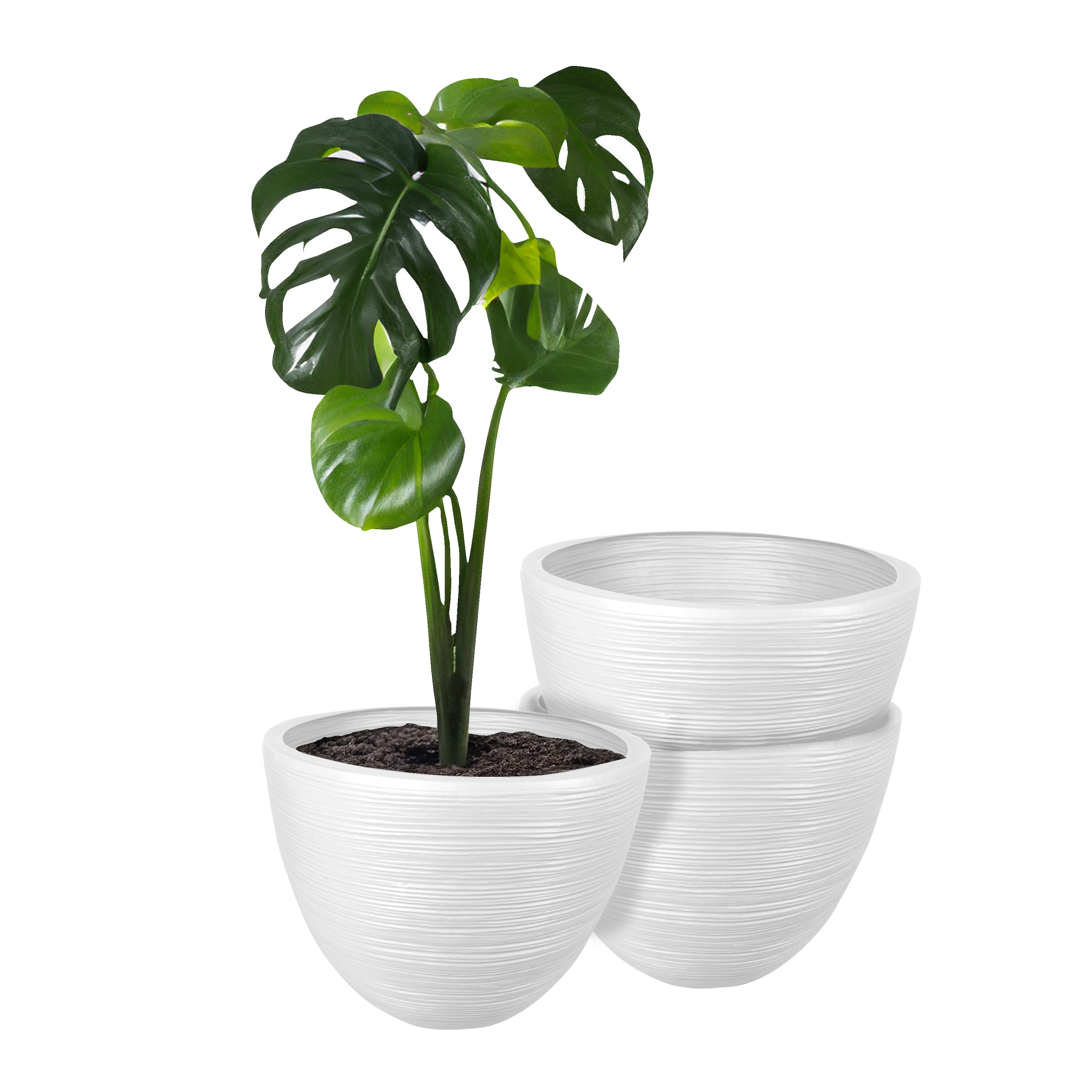 Foto 2 pulgar | Atmos Homeware Macetas Decorativas Para Interior Y Exterior |   Capacidad Para 45 Litros | Modelo Kun Color Blanco 3