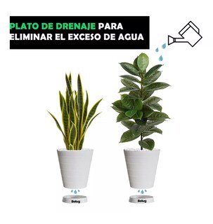 Foto 5 | 2 Macetas Grandes Belug Moderna Minimalista Interior Exterior Plato, Blanco