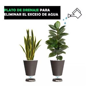 Foto 5 | 2 Macetas Grandes Belug Moderna Minimalista Interior Exterior Plato Café