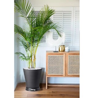 Foto 3 | 2 Macetas Grande Moderna Minimalista Interior Exterior Belug, Plato Negro