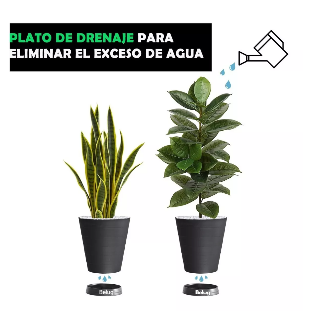 Foto 5 | 2 Macetas Grande Moderna Minimalista Interior Exterior  Belug, Plato Negro
