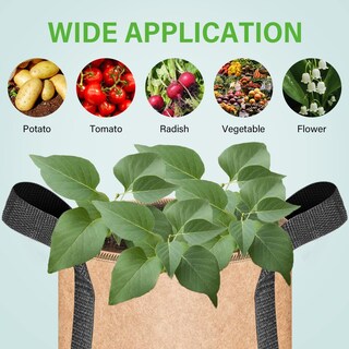 Foto 7 | Macetas De Tela No Tejida Grow Bags Ipower De 20 Galones, Paquete De 5, Color Canela - Venta Internacional.
