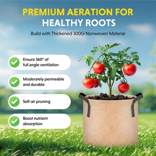 Foto 6 | Bolsas De Cultivo Aireation Grow Bags Ipower, Paquete De 10 Unidades, 75,7 L De Grosor, Tela No Tejida - Venta Inte