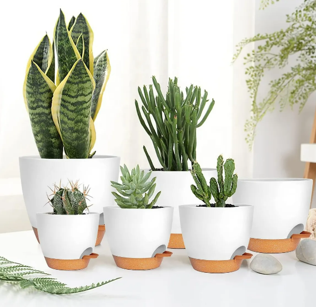 Foto 3 pulgar | Xtellar Macetas De Riego Automático 7 Pcs  Set De Jardinería Sostenible Para Interiores