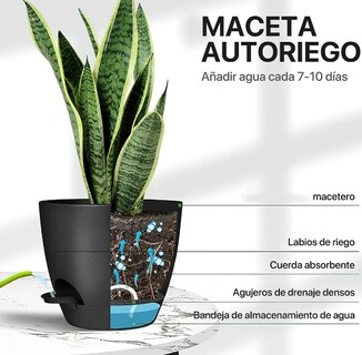Foto 2 | Macetas Autoregables Xtellar Para Interiores Y Exteriores Estilo Moderno Minimalista Pack De 2
