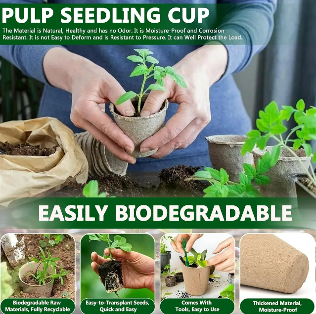 Foto 3 pulgar | Kit De Macetas Biodegradables Xtellar 50 Pcs  Embellece Tu Jardín De Forma Sostenible