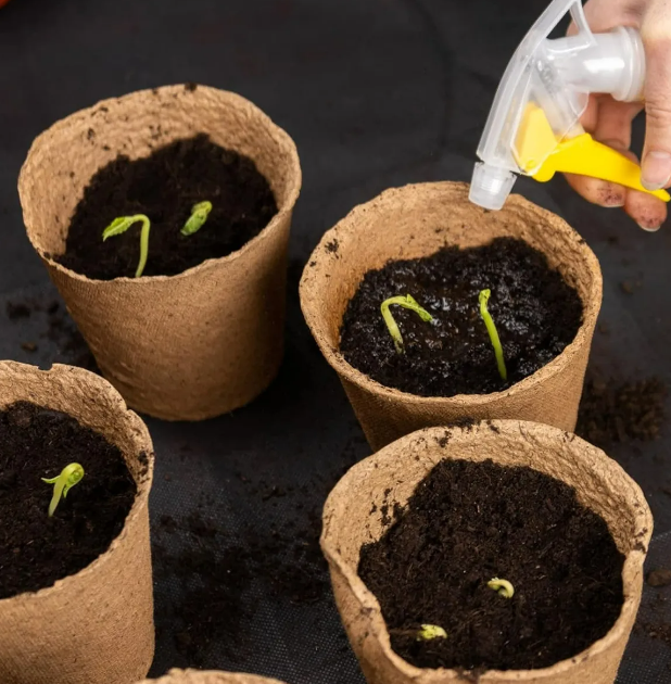 Foto 4 pulgar | Kit De Macetas Biodegradables Xtellar 50 Pcs  Embellece Tu Jardín De Forma Sostenible